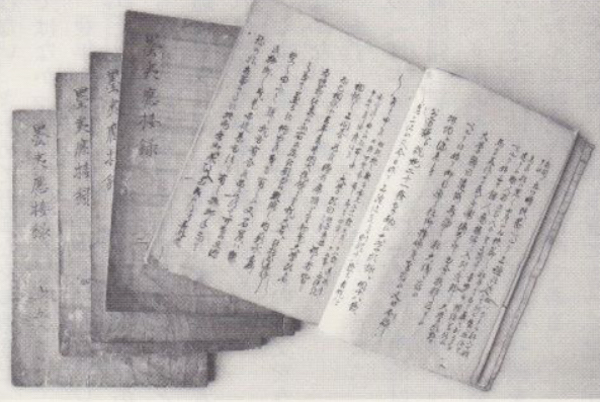 沙青青评《坂本龙马与明治维新》︱站在“明治维新”反面的人