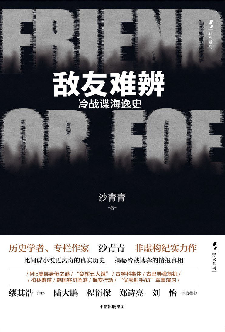 《敌友难辨》封面