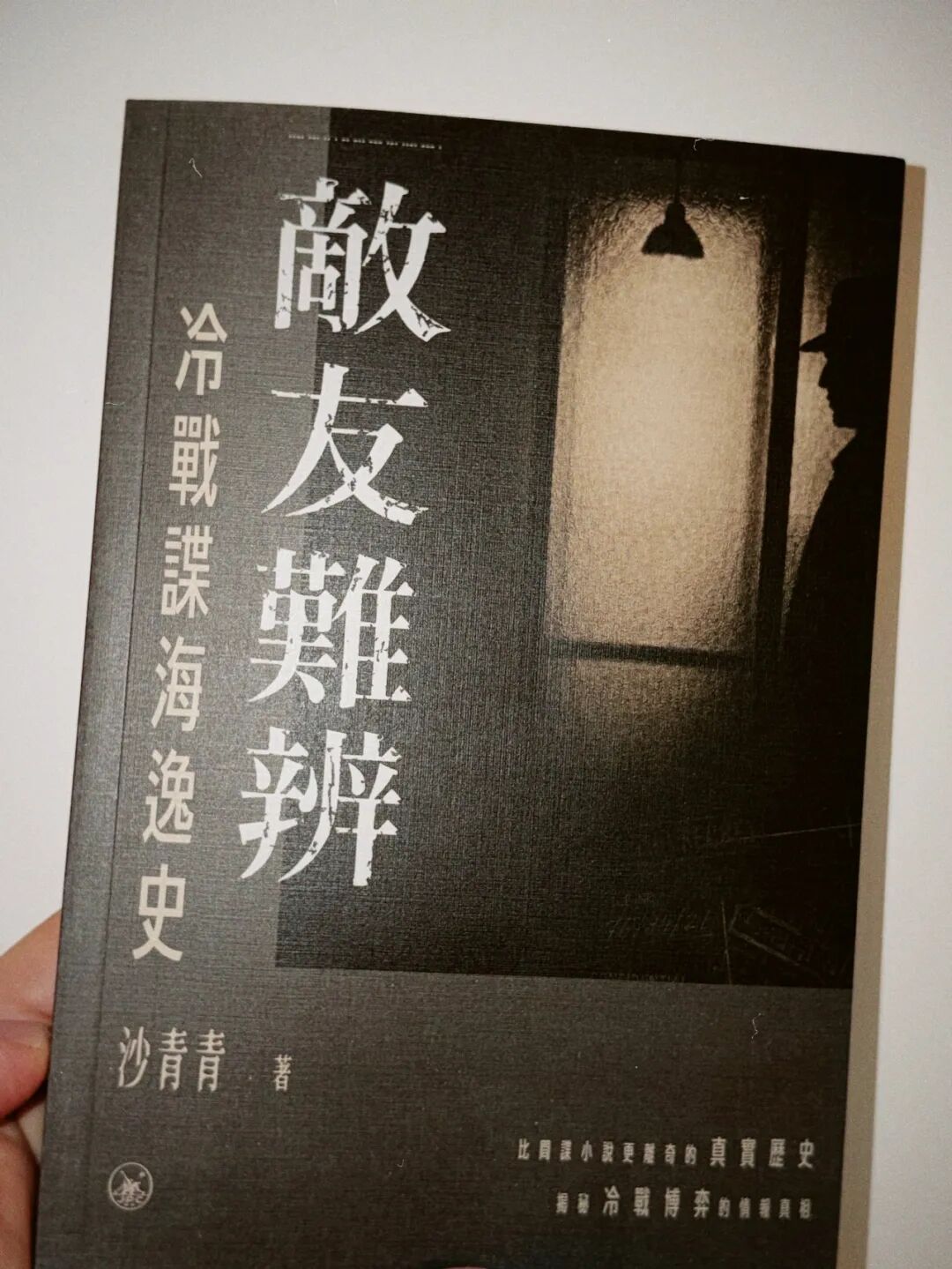 《敌友难辨》繁体版自序 · 图1